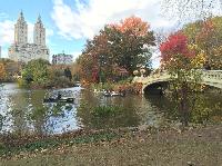 IMG_2815.JPG