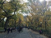 IMG_2822.JPG