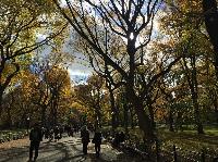 IMG_2827.JPG