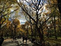 IMG_2829.JPG