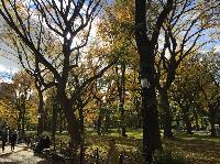 IMG_2832.JPG