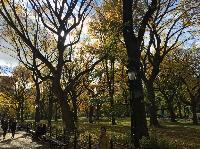 IMG_2833.JPG