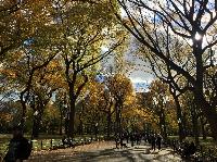 IMG_2835.JPG