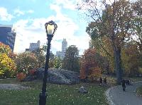 IMG_2859.JPG