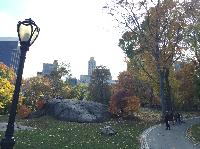 IMG_2862.JPG