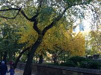 IMG_9562.JPG