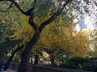 IMG_9563.JPG