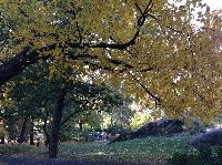 IMG_9564.JPG