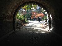 IMG_9566.JPG