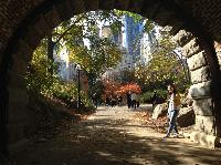 IMG_9575.JPG