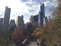 IMG_9585.JPG