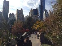 IMG_9586.JPG