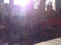 IMG_9592.JPG