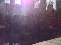 IMG_9593.JPG