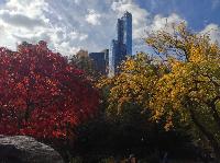IMG_9599.JPG