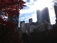 IMG_9600.JPG