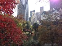 IMG_9604.JPG