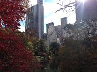 IMG_9606.JPG