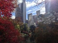 IMG_9607.JPG