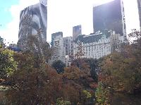 IMG_9608.JPG
