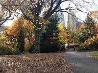 IMG_9628.JPG