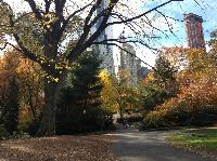 IMG_9632.JPG