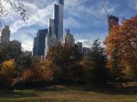 IMG_9637.JPG