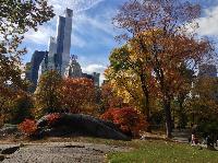IMG_9641.JPG