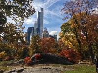 IMG_9643.JPG