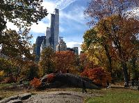 IMG_9646.JPG