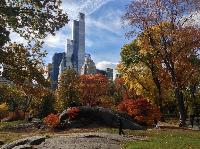 IMG_9647.JPG