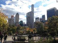 IMG_9650.JPG