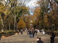 IMG_9654.JPG