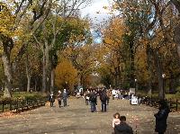 IMG_9656.JPG
