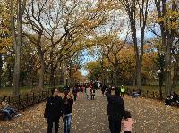 IMG_9685.JPG