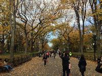 IMG_9687.JPG
