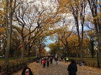 IMG_9689.JPG