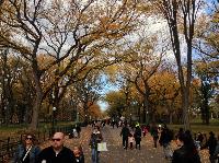 IMG_9691.JPG