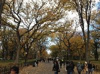 IMG_9692.JPG