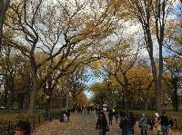 IMG_9693.JPG