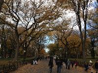 IMG_9694.JPG