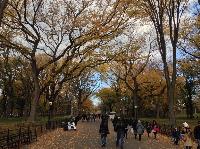 IMG_9695.JPG