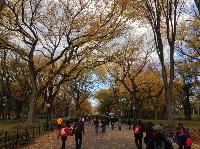 IMG_9697.JPG