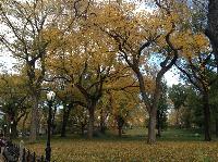 IMG_9702.JPG