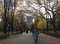 IMG_9705.JPG