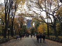 IMG_9706.JPG
