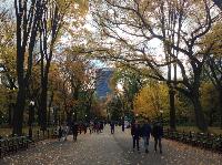 IMG_9707.JPG