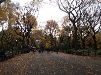 IMG_9708.JPG