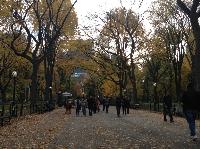 IMG_9712.JPG
