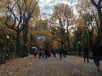 IMG_9713.JPG
